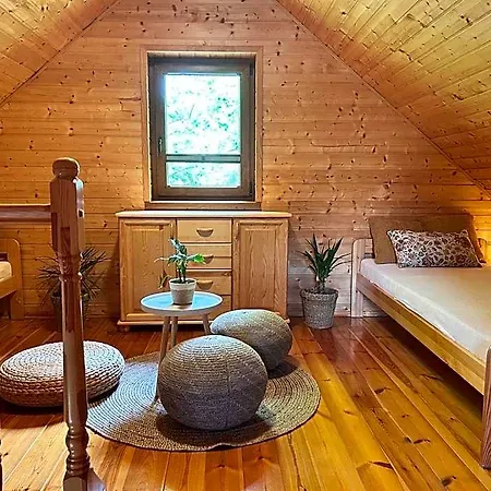 Otel Kameleon Dzwirzyno *