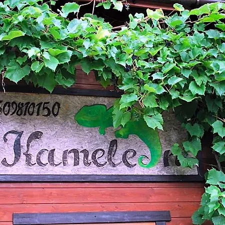 Otel Kameleon Dzwirzyno