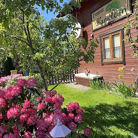 Kameleon Dzwirzyno Otel